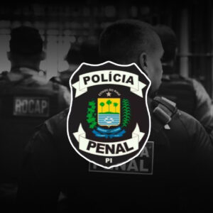 COMBO 3 SIMULADOS PPPI (GABARITO COMENTADO)- PÓS-EDITAL  - 3 Simulados Completos Pós-edital de alto nível -Simulados comentados por professores -Resolva os simulados em PDF com o gabarito comentado  (você é o seu melhor PROJETO!) (cópia)