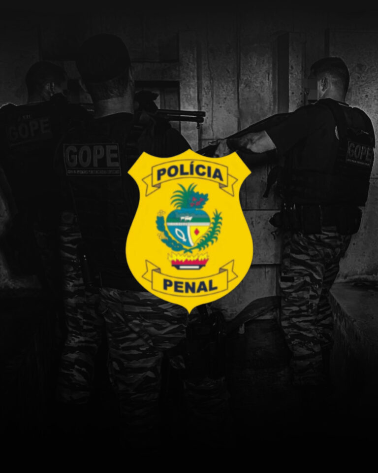 Mentoria PPGO Polícia de Goiás