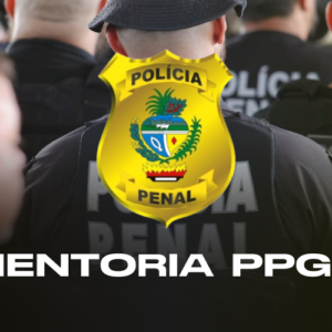 Mentoria - PPGO
